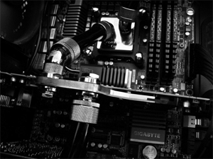 Graphics Card